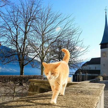 Eiger In See- Und Bergnaehe, Modern, Mit Balkon Und Aussicht Fuer 4 Gaeste