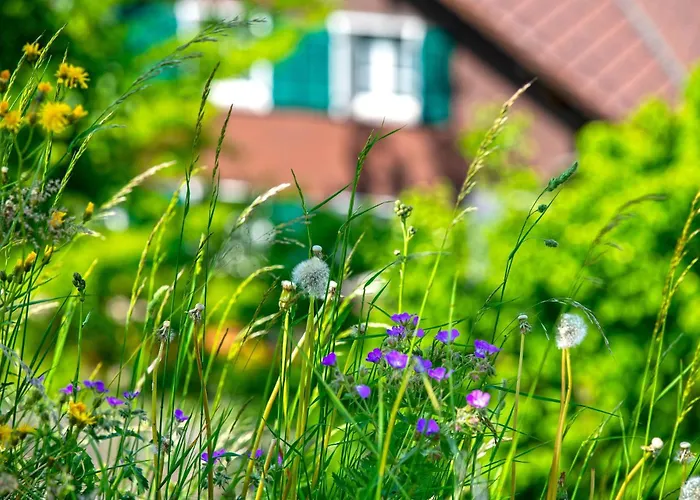 Eiger In See- Und Bergnaehe, Modern, Mit Balkon Und Aussicht Fuer 4 Gaeste * שפיץ