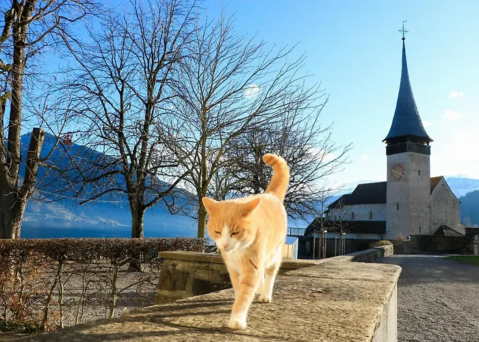 Eiger In See- Und Bergnaehe, Modern, Mit Balkon Und Aussicht Fuer 4 Gaeste