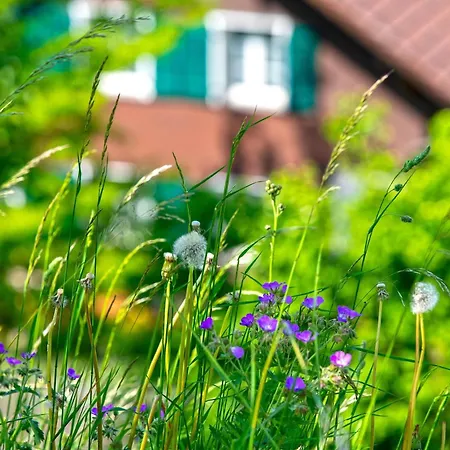 Eiger In See- Und Bergnaehe, Modern, Mit Balkon Und Aussicht Fuer 4 Gaeste * 施皮茨