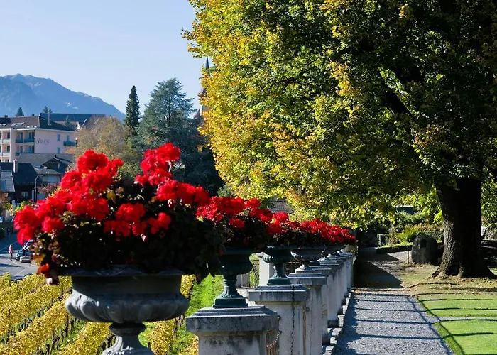 Apartman Eiger In See- Und Bergnaehe, Modern, Mit Balkon Und Aussicht Fuer 4 Gaeste *